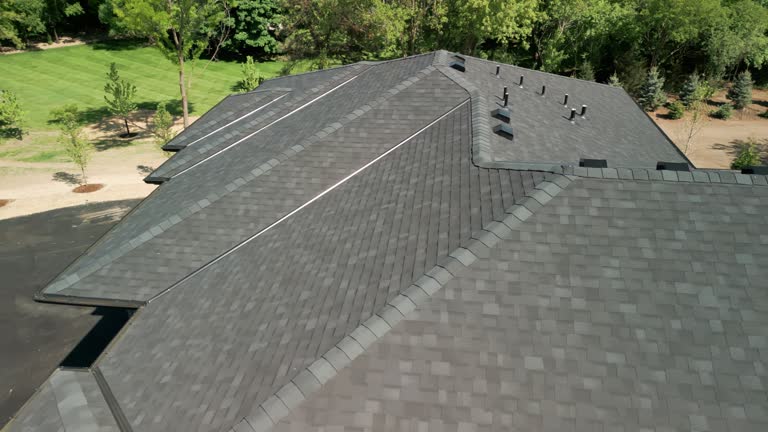 Best Roof Moss and Algae Removal  in Stone Park, IL